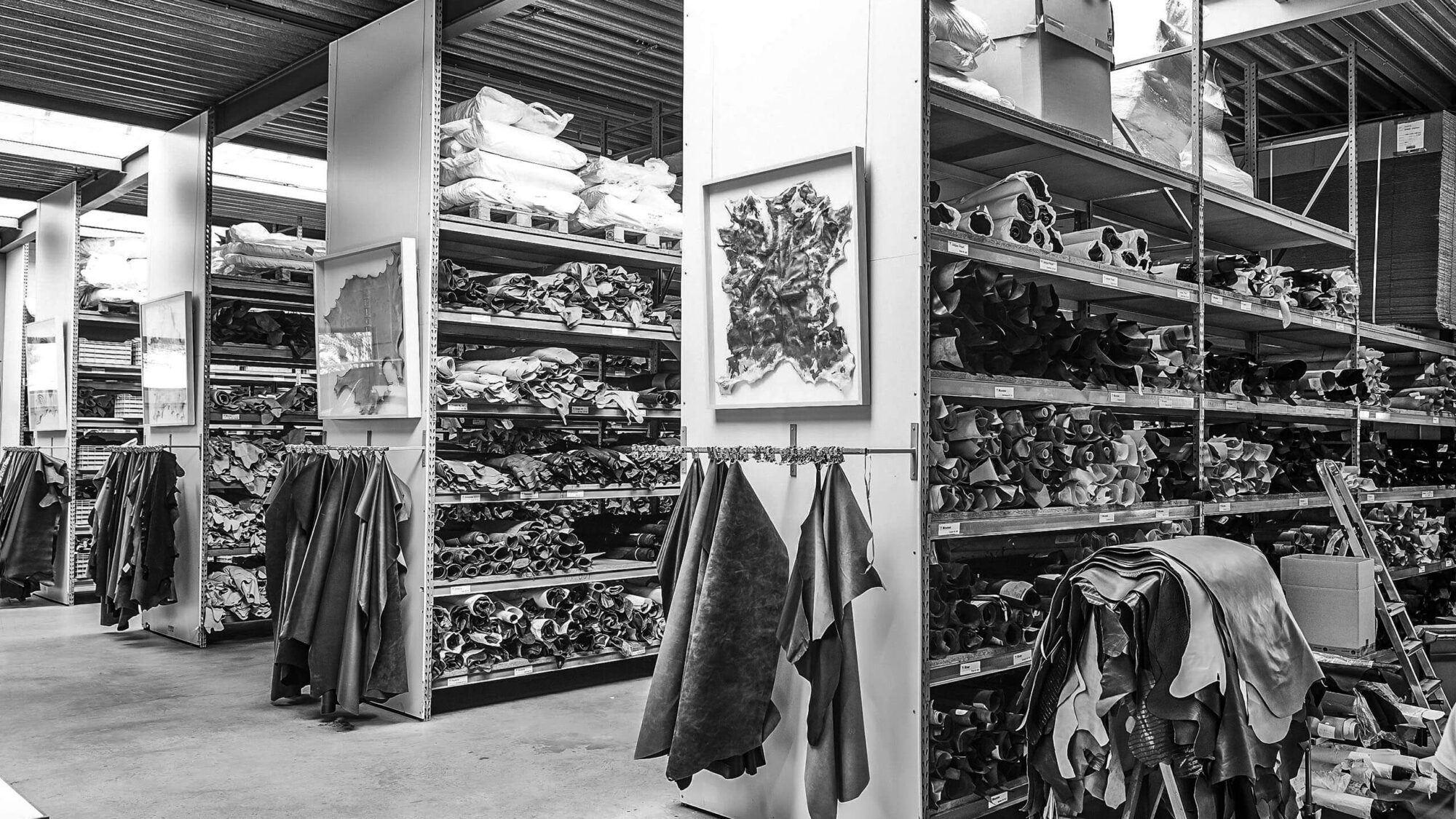 Why Maasleder Maasleder why-maasleder-maasleder